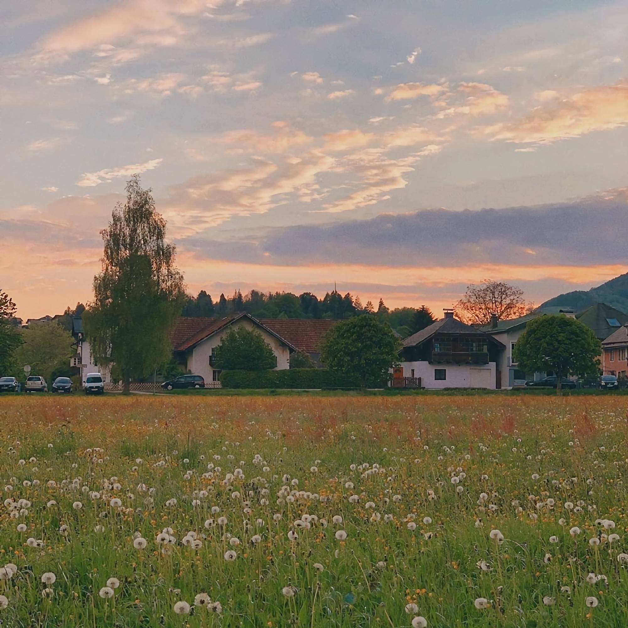 朋友圈背景图生活就像是心电图想要一帆风顺没有起伏除非你死了