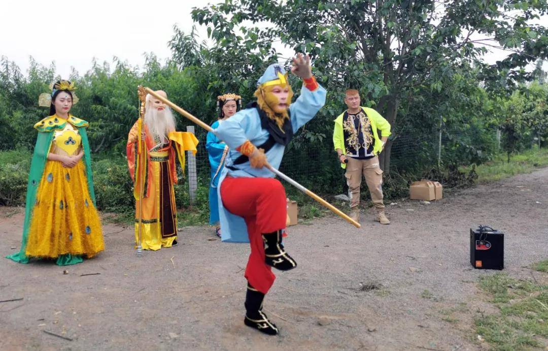 孙悟空大驾即墨蟠桃盛会桃子随便吃采摘金银花挖野菜