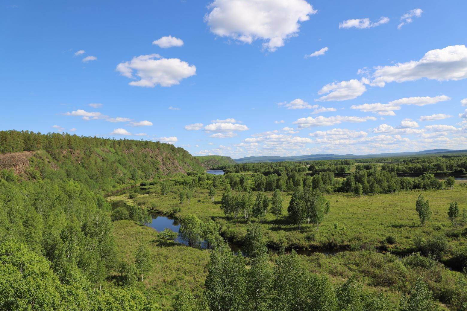 阿木尔林业局推动林区高质量发展