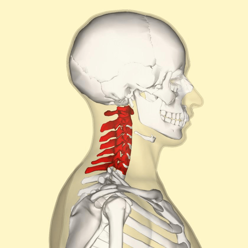 颈椎图片高清准确位置图片