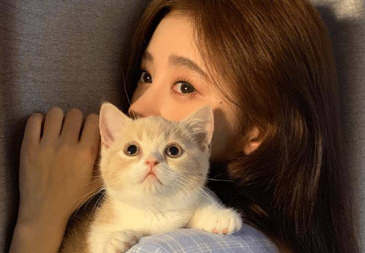 原创鞠婧祎宅家撸猫当她和猫咪贴嘴亲亲那一刻全网男粉不淡定了