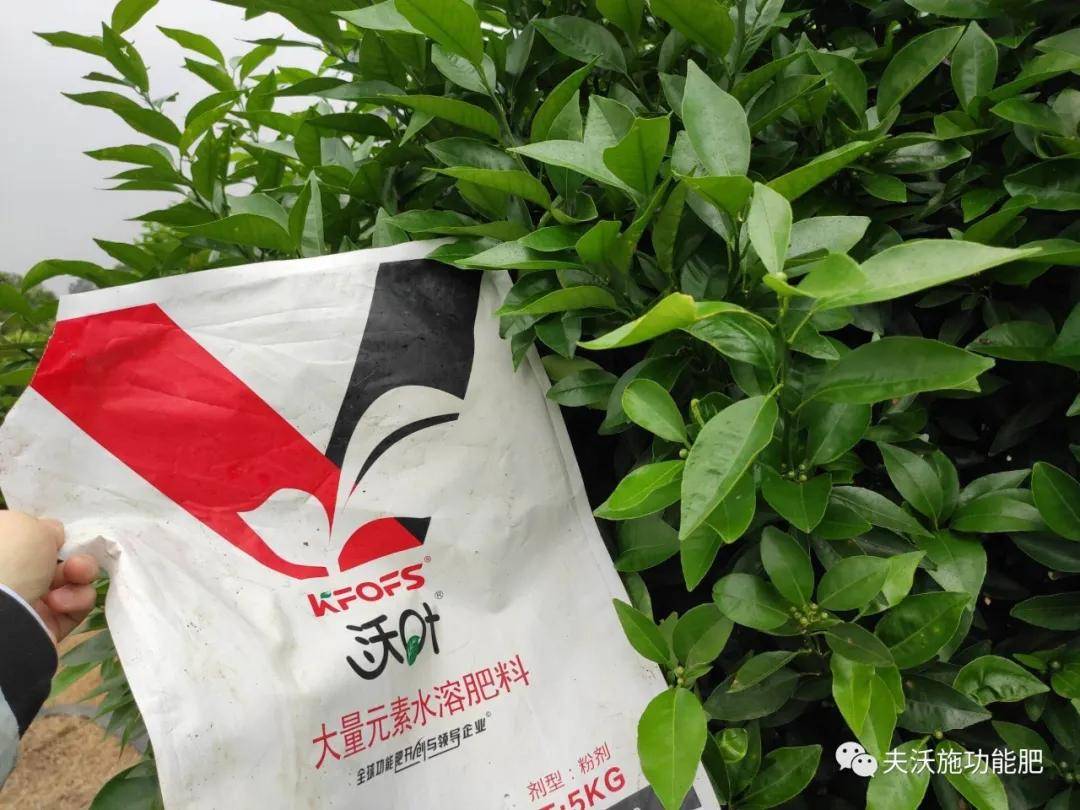 进口水溶肥和国产水溶肥的区别,这篇说全了!