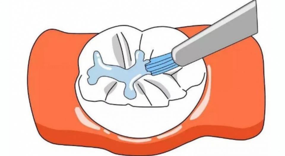 一直在强调的"六龄齿",到底是什么?