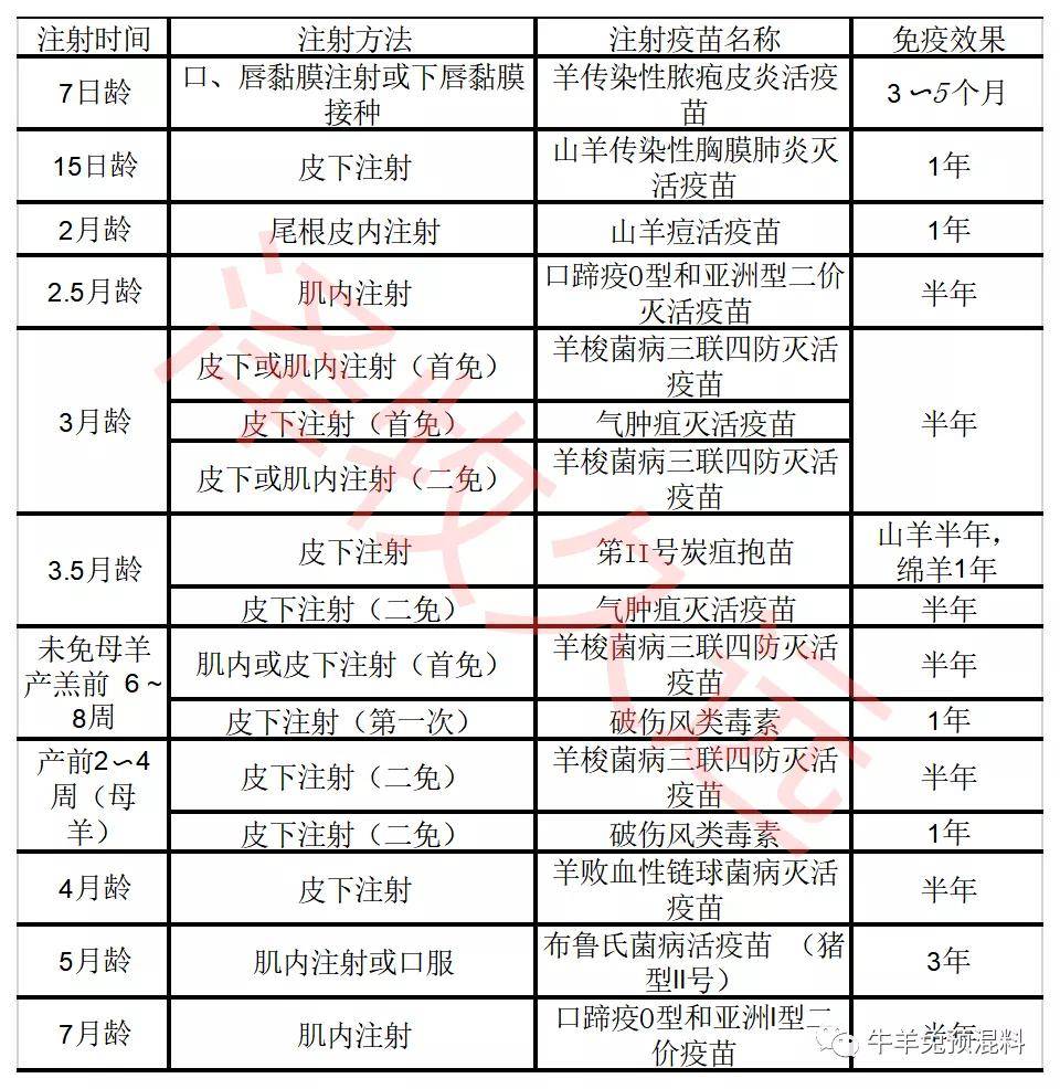 (二)羔羊免疫程序規程表(三)成年羊免疫程序表