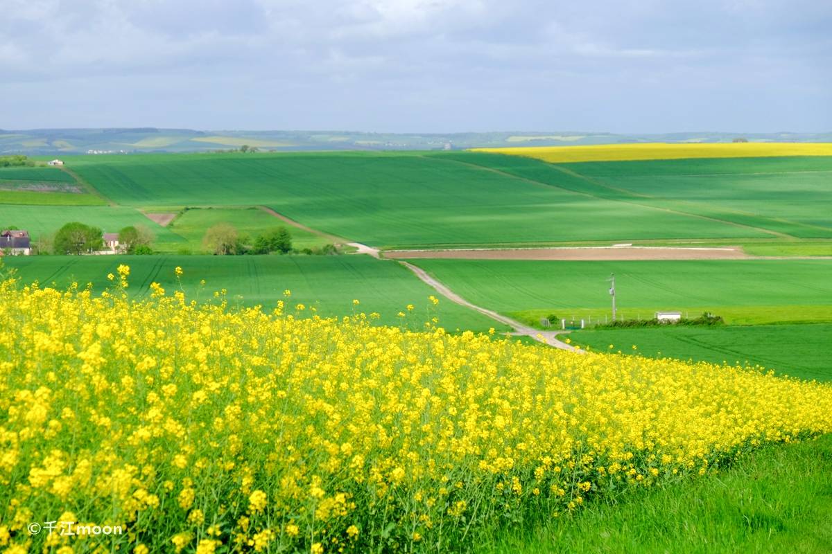 法国乡下的春天有多美