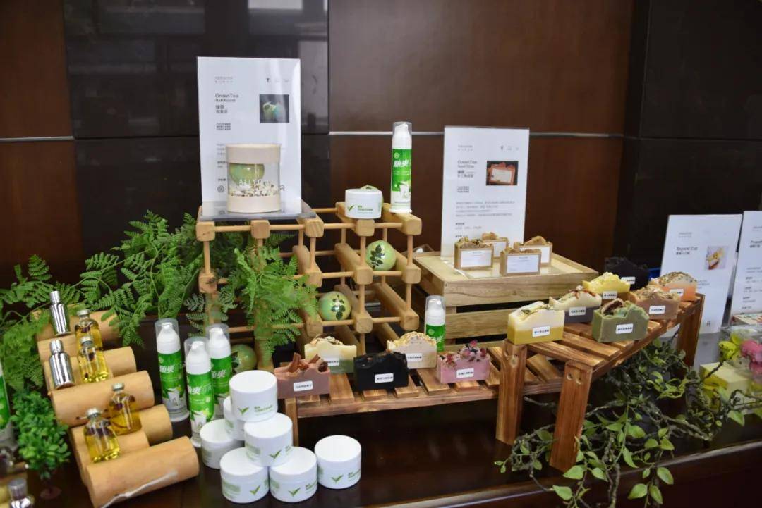 专家团队茶深加工与多元化利用团队