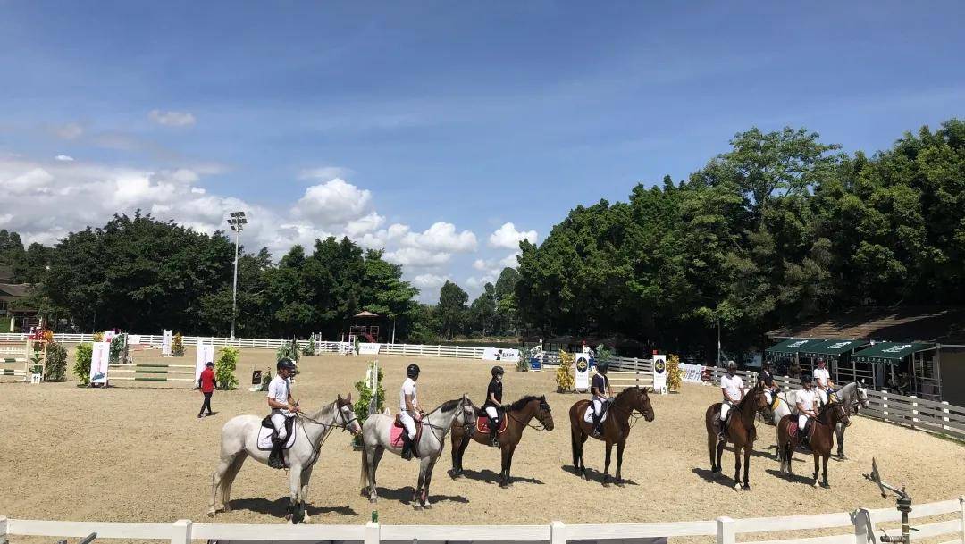 吸引到来自广东地区多家马术俱乐部的超130匹马,近250对人马组合(受