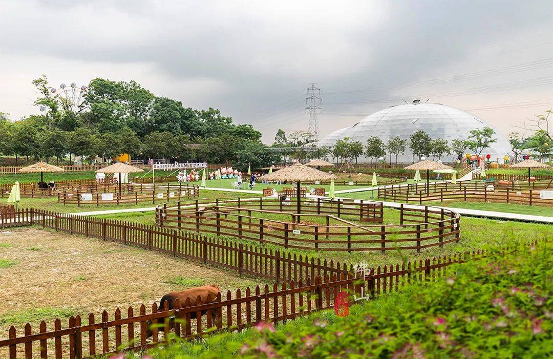 孩子们最喜欢的,一定是开心牧场.