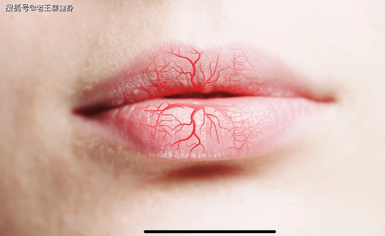 嘴唇血管图片