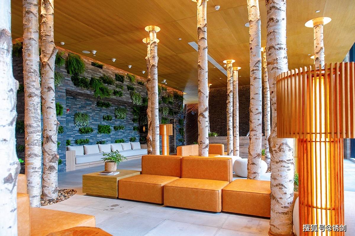 原创三亚最特别的生态酒店,刷新你对传统酒店的认知,绝对的后起之秀