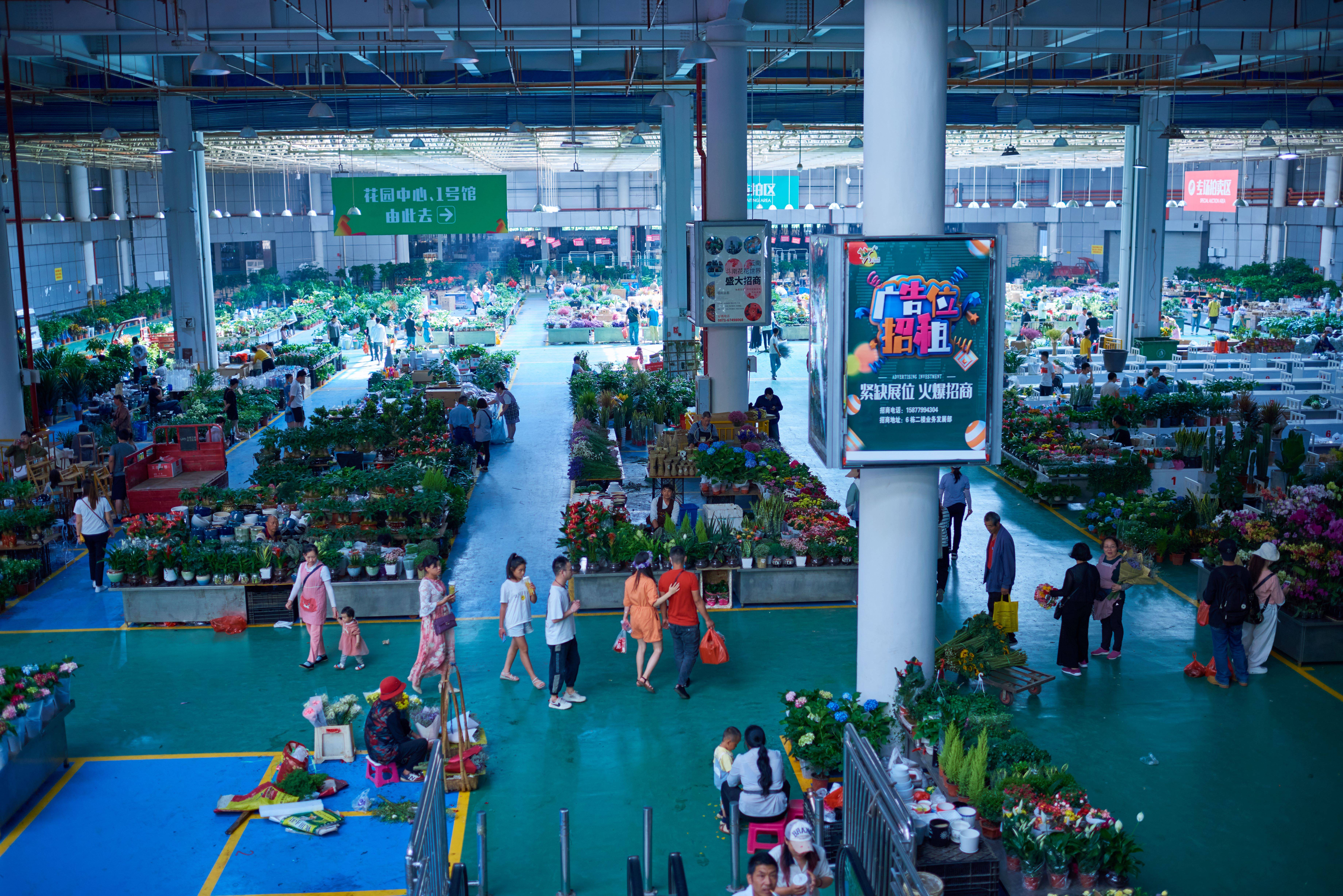 春城昆明的夏天鲜花照样盛开亚洲最大花卉聚集地呈贡斗南花市