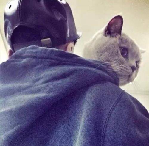 和喜欢猫的男人交往的8个理由