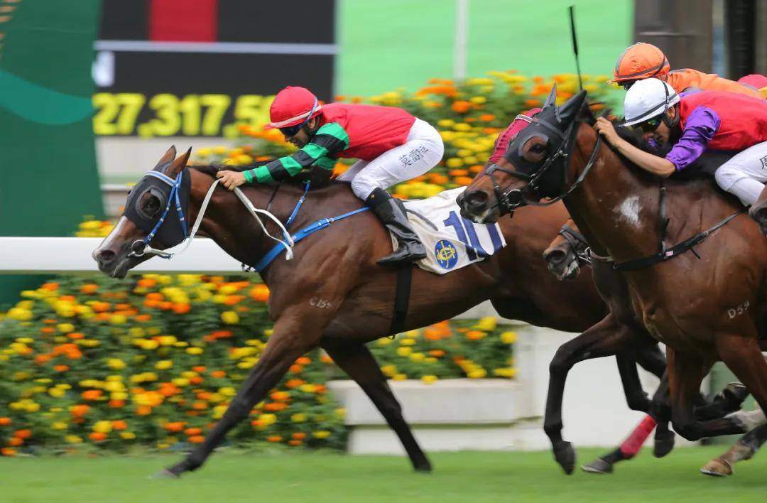 大陸馬:香港賽馬會招聘