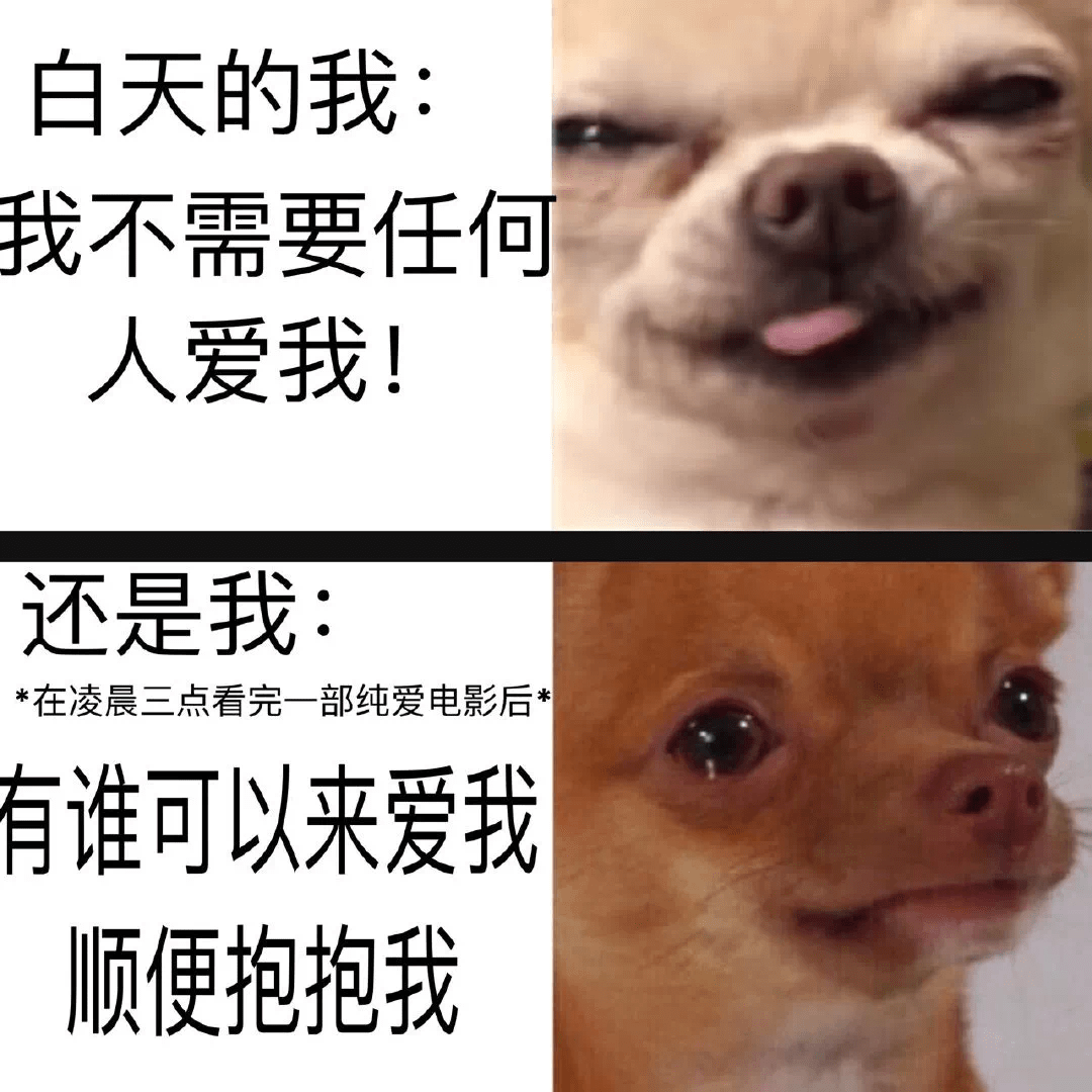 15,这狗狗好可爱,想rua!