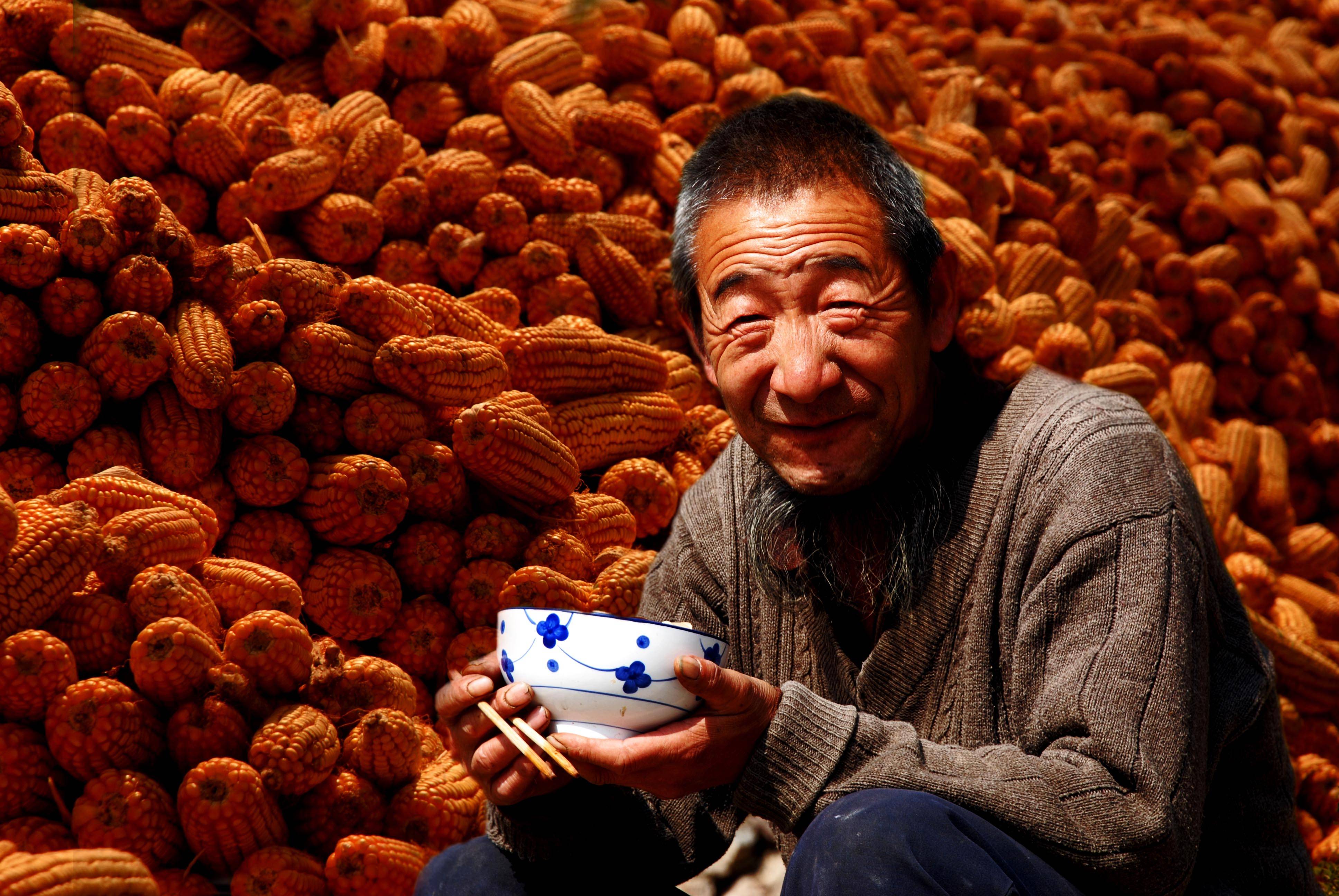 好照片的四大要素 主题突出 对焦清晰 色彩饱和构图正确