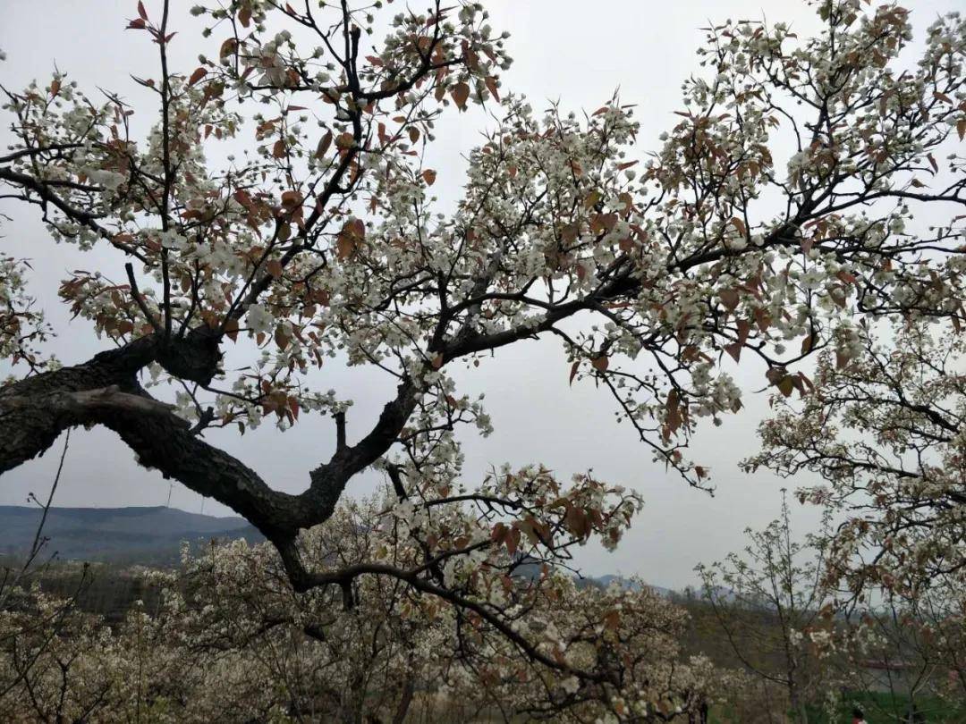 作者简介:郭全义,费县第二中学教师,费县作家协会会员.