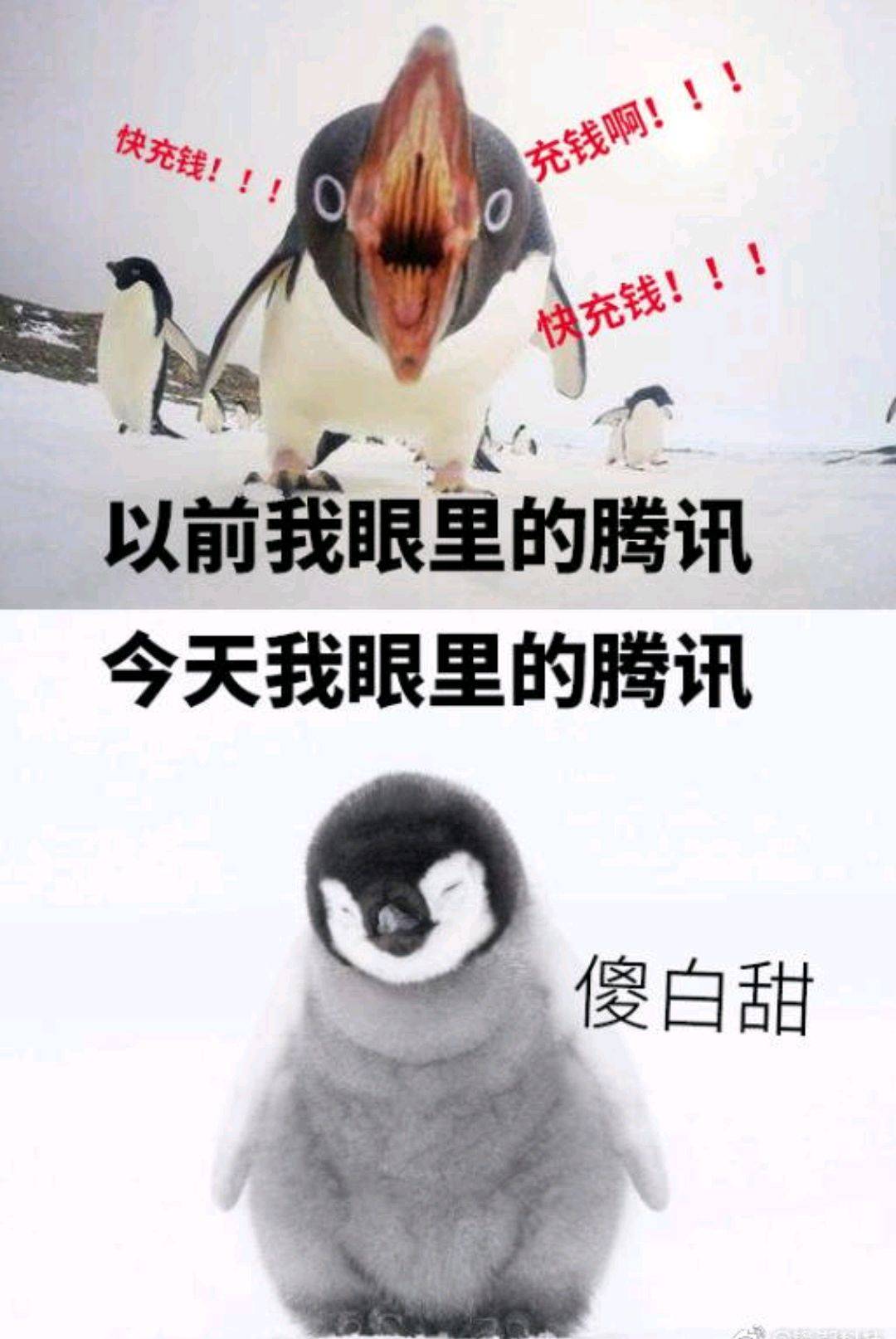 腾讯老干妈持续发酵,企鹅委屈令人爆笑,网友调侃:逗鹅冤