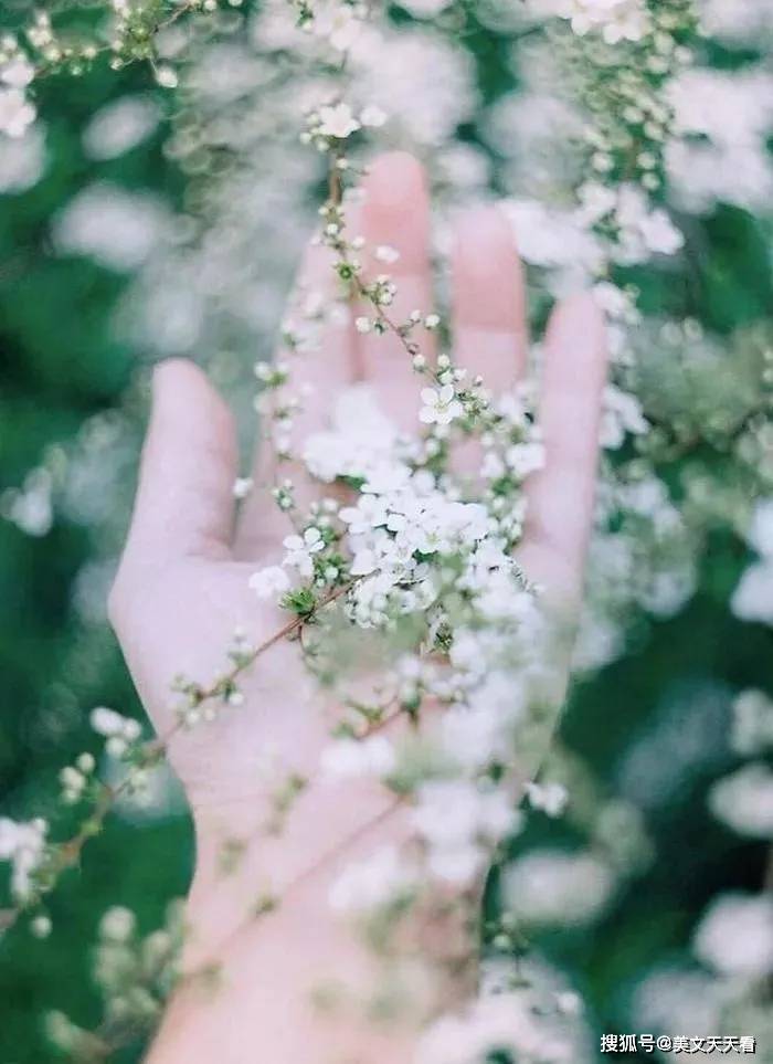 耐心点,给好运一点时间 july 未来可期 愿你,温柔不变 情深不伤,一生