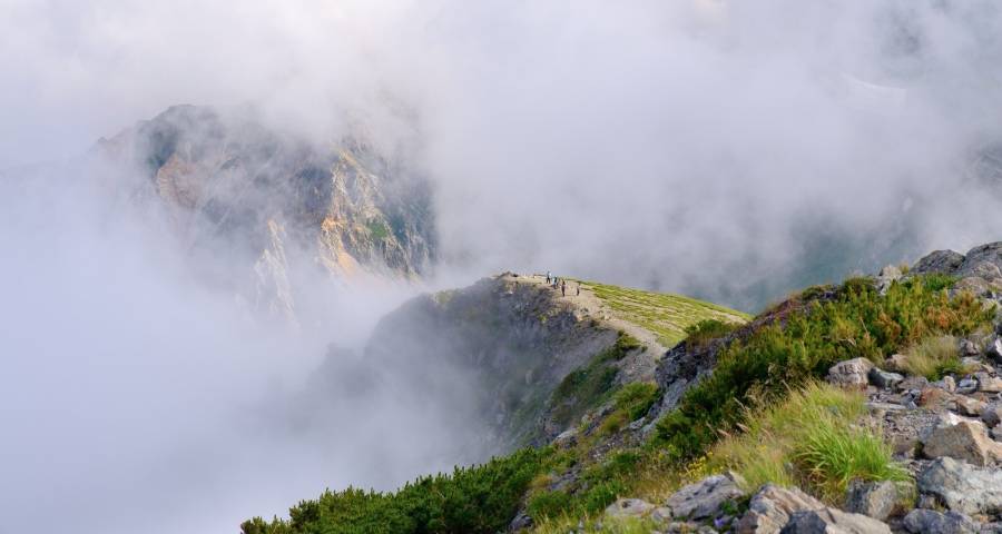 用户订单从哪里来?家电厂商只能在一线深挖细掘-家电圈官网