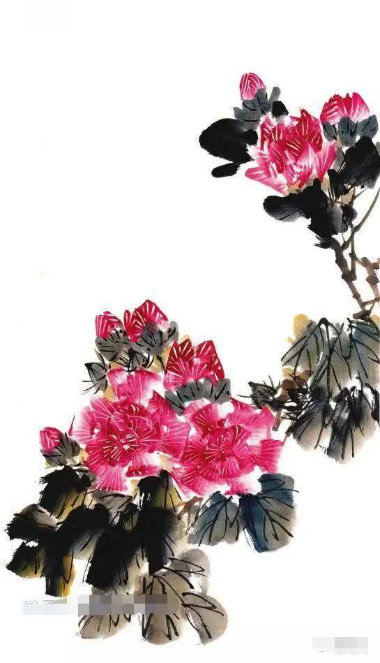 芙蓉花的画法步骤解析