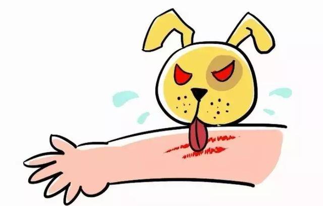 关于狂犬病你需要知道的全在这里