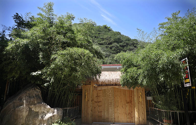 有空偷得半日闲,终南山居做闲人