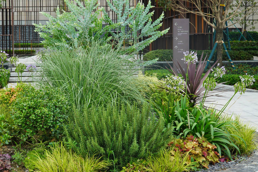 l形区域花境与椭圆形花境相互呼应