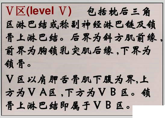 解剖頸部淋巴結分區精選資源