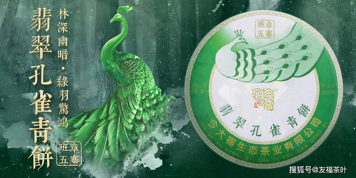 班章五寨丨今大福翡翠孔雀青饼,天赋灵秀