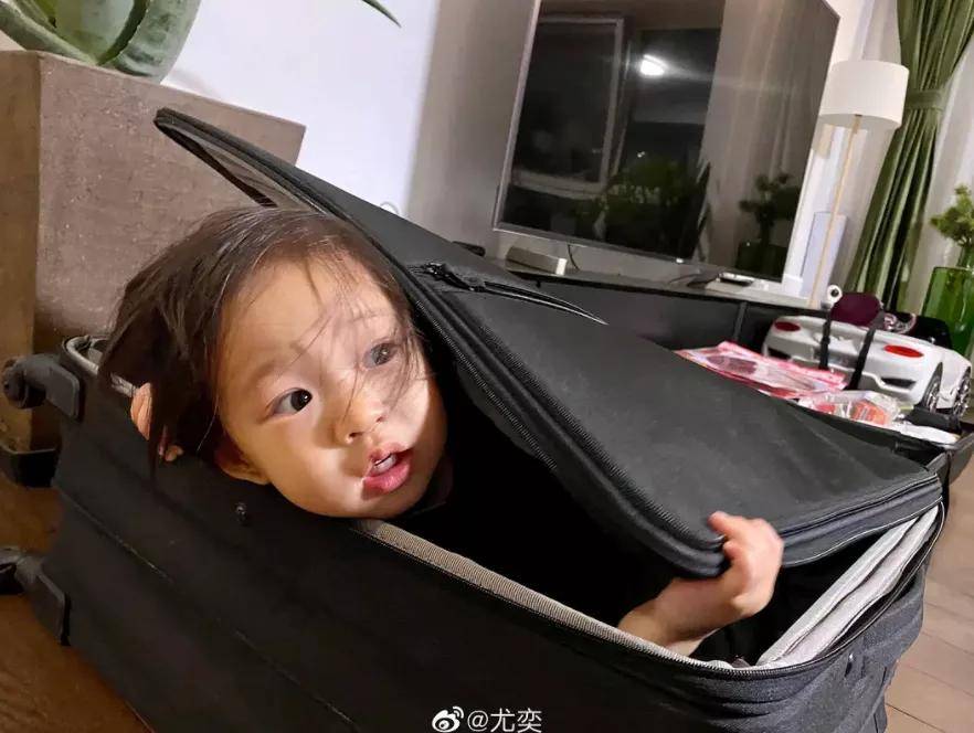 宁静儿子22岁张雨绮龙凤胎郑希怡万茜白冰王智有孩子我村通网