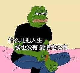 聊天也不聊,朋友圈也不评论点赞,你们加我好友就是为了看我朋友圈