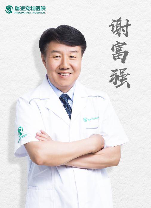 瑞派宠物医院领军专家团赋能智慧兽医