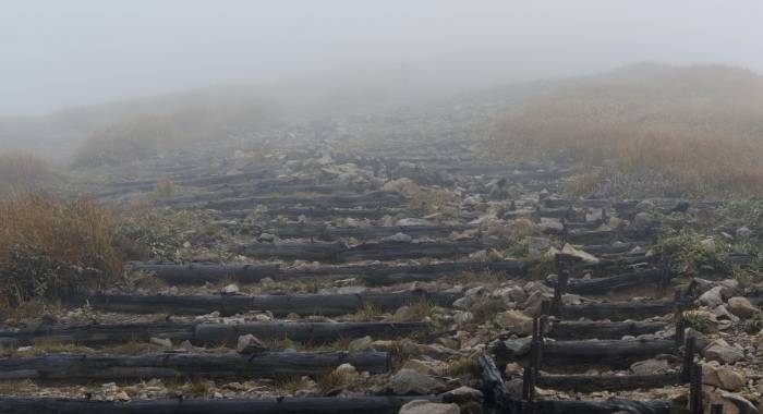 厨电市场的危与机，游走于企业的跨界与破局之间-家电圈官网