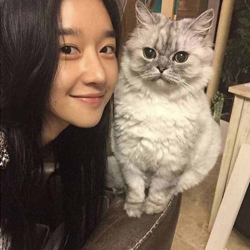 徐睿知《虽然是精神病但没关系》高冷演超大!