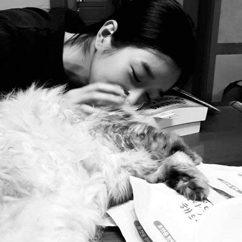 徐睿知《虽然是精神病但没关系》高冷演超大!