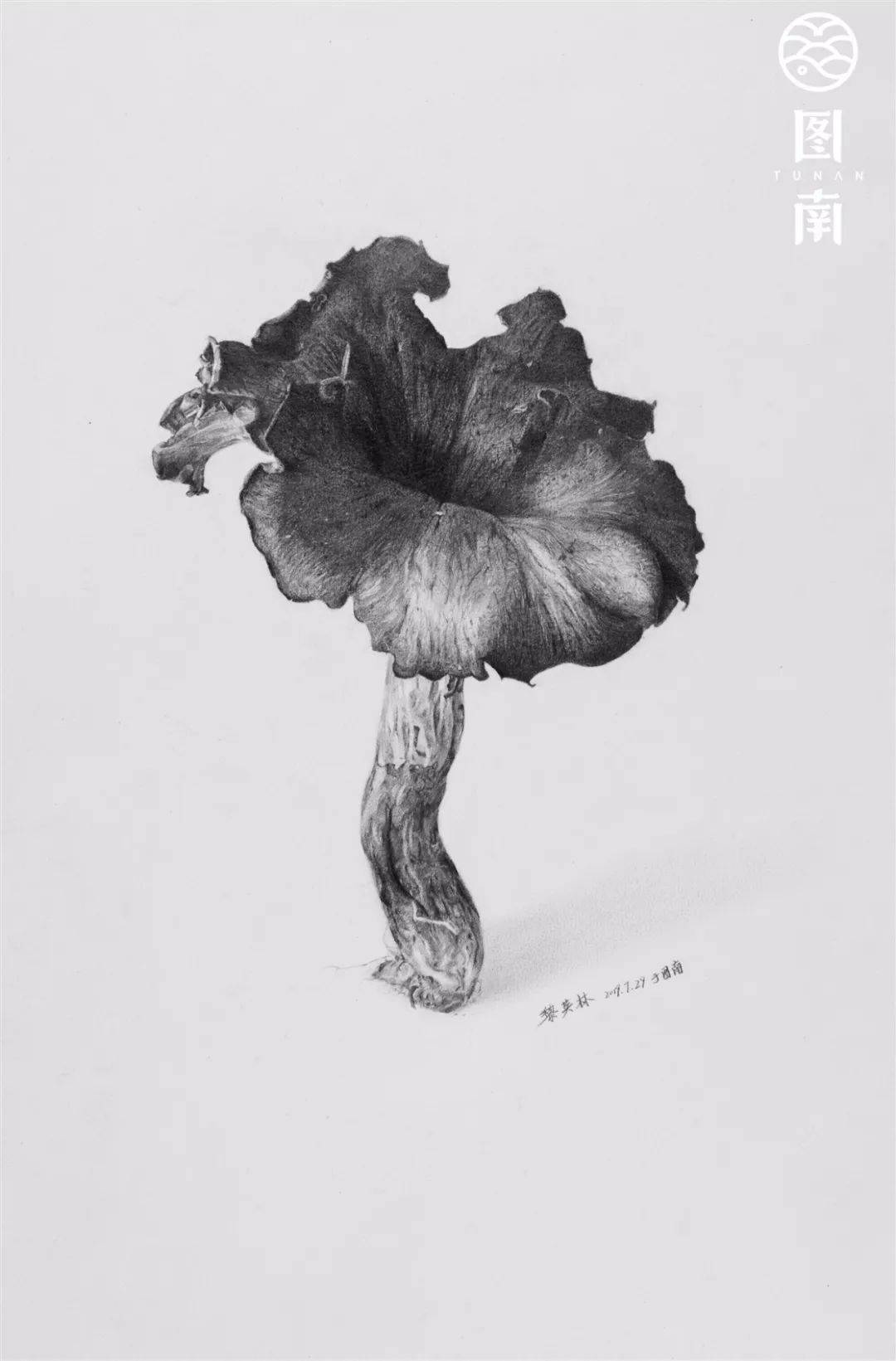 高一学生作品:精微素描写生