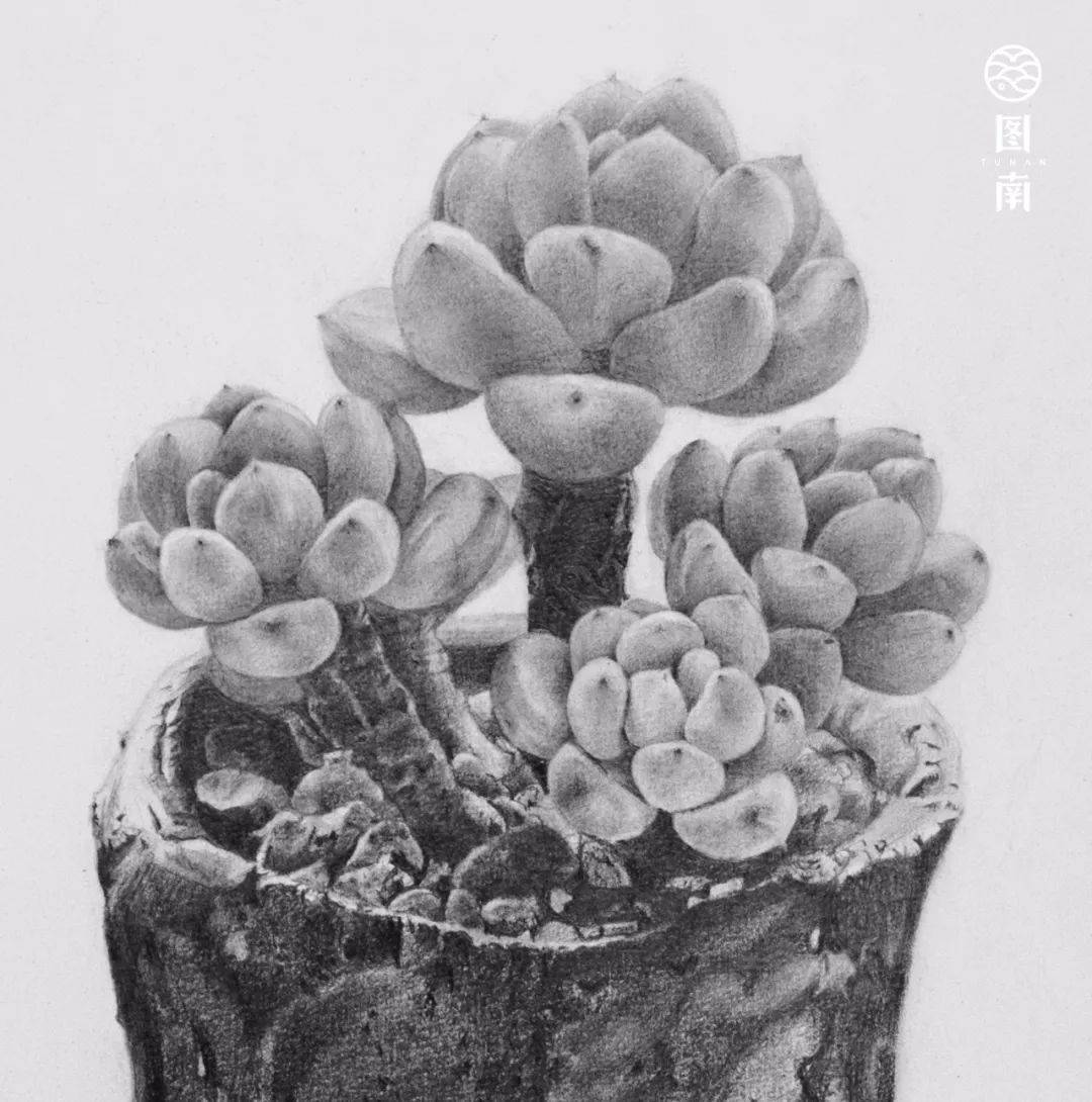 暑假太短 朝夕必争|广西图南画室暑假班招生简章_素描