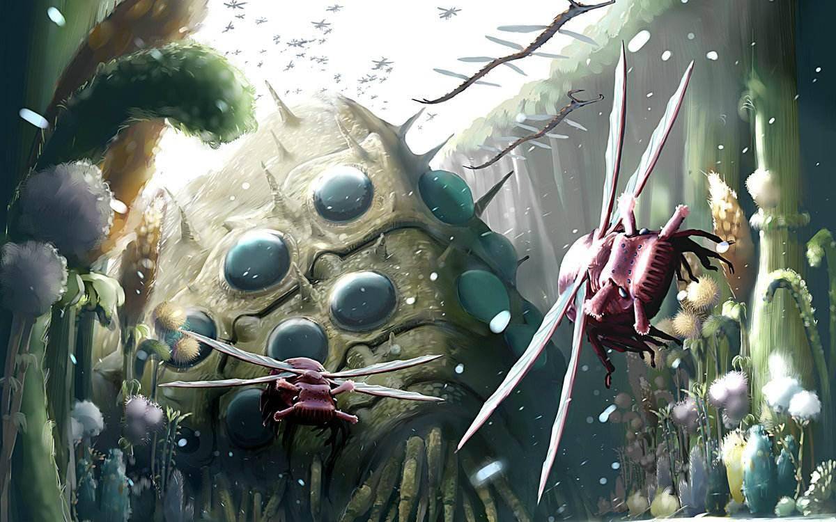 原创风之谷不要高估你在别人嘴里的样子做你自己就好