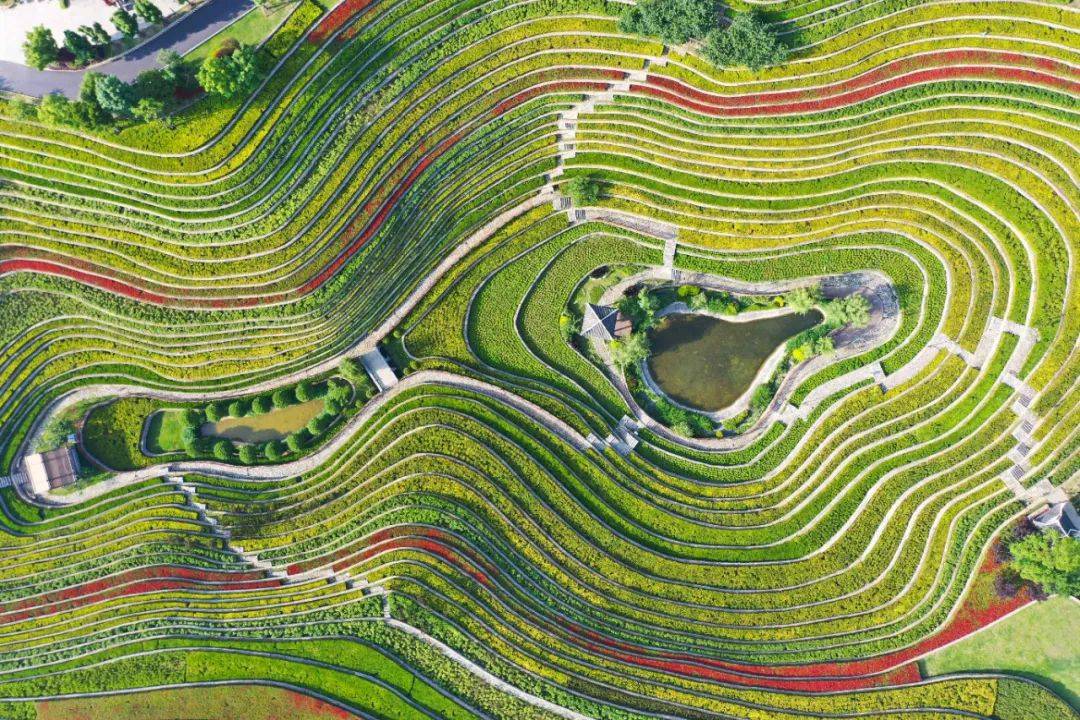 花都梯田景区图片