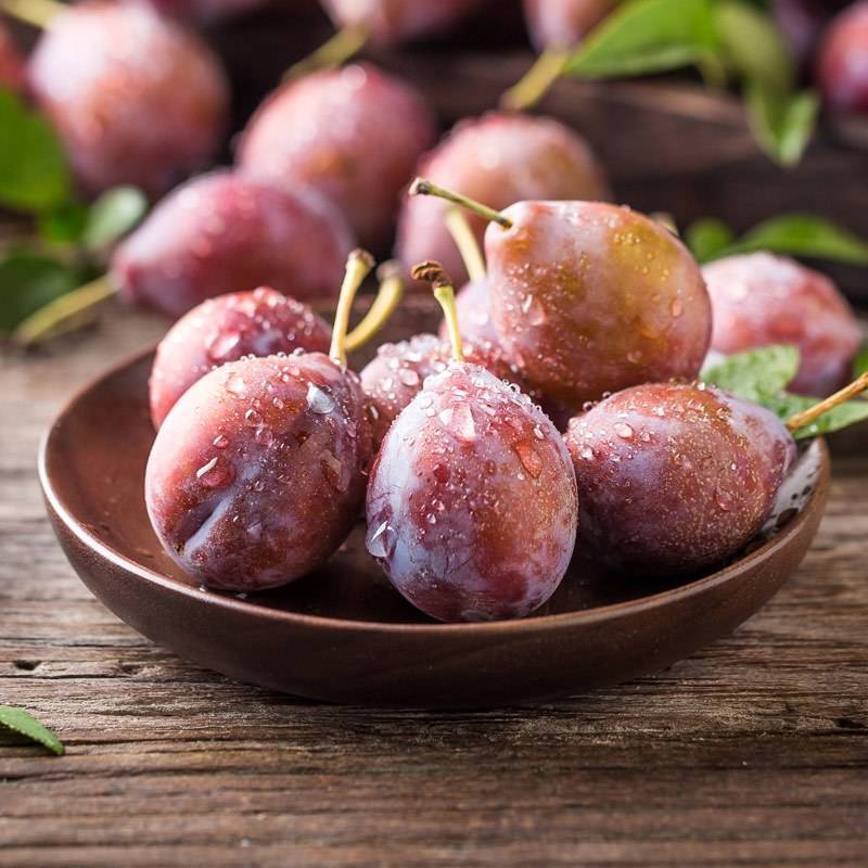 西梅产地在哪里西梅怎么保存