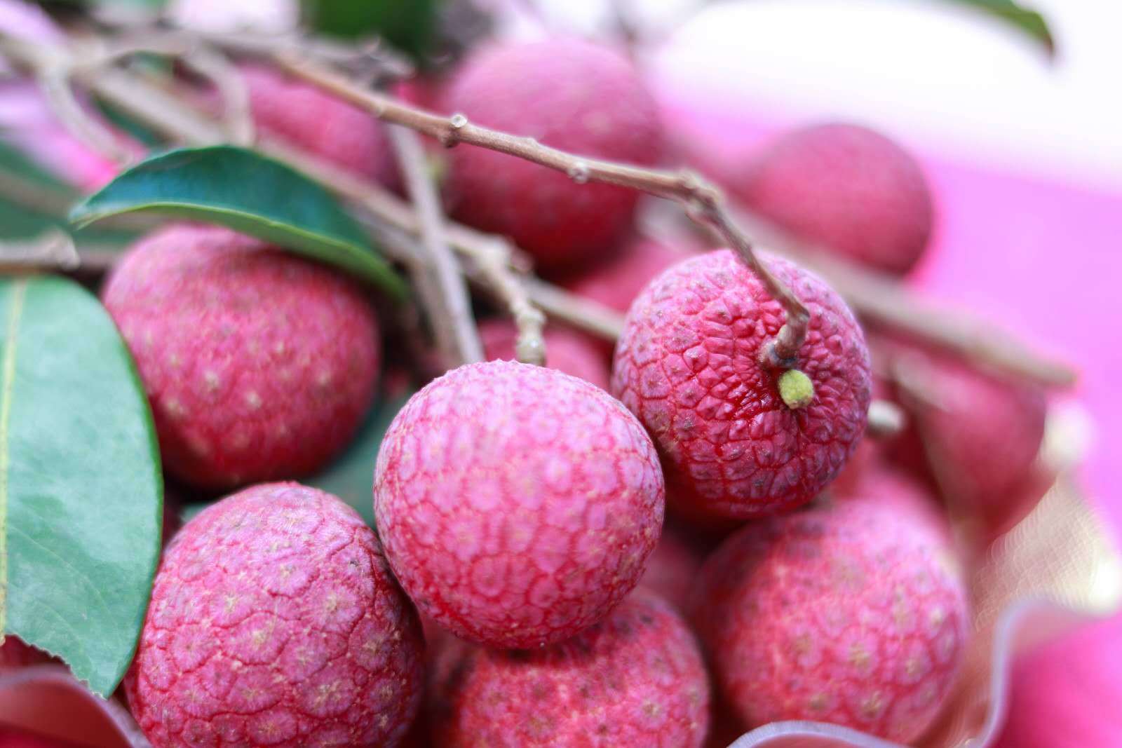 红色"荔"量推动现代农业:从化太平首届荔枝皇拍卖最高20万成交!