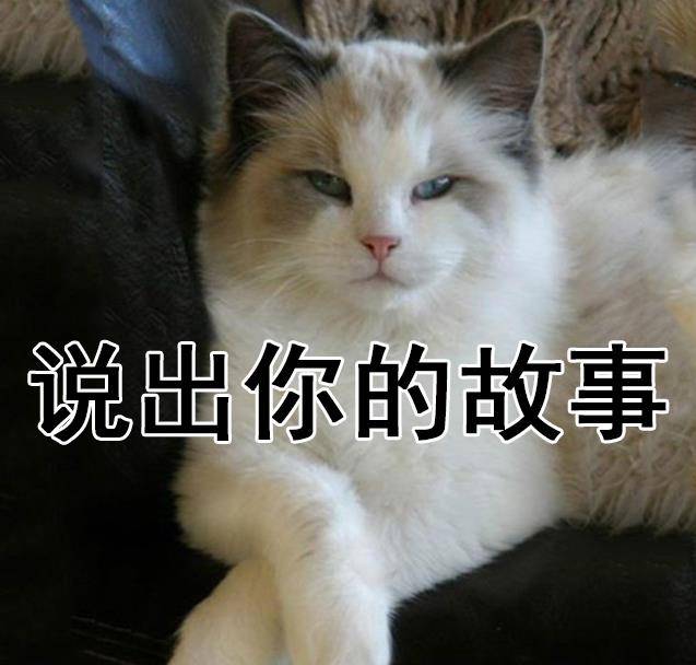 今天的表情包只有两个字:"你说!"我这边倾述欲瞬间就没了啊