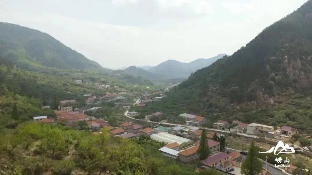 诗意崂山石匠村变画家村这才是诗情画意的生活吧