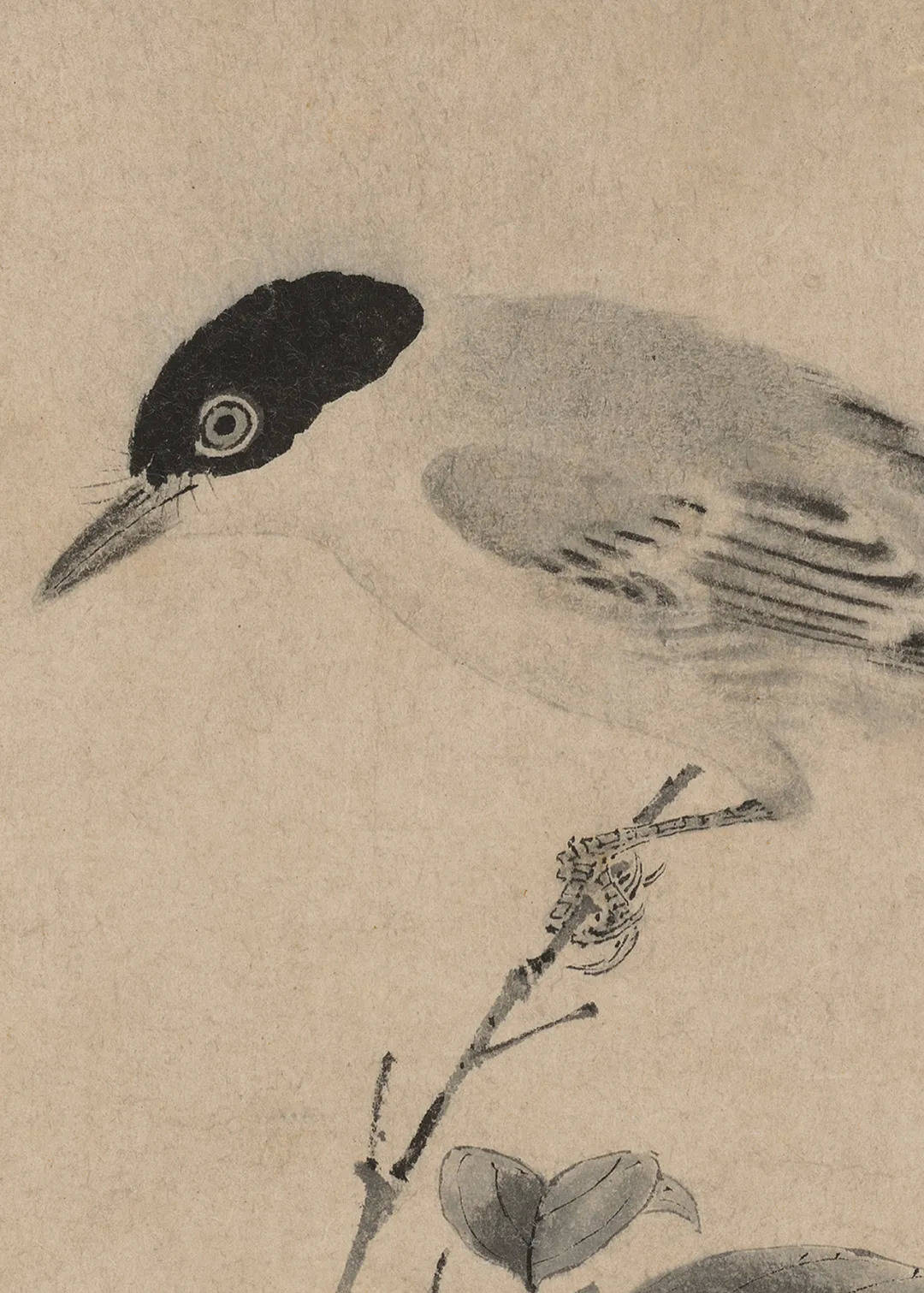 石渠宝笈名迹丨宋徽宗:写生珍禽图_赵佶