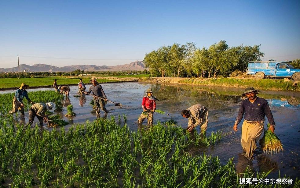 有沙漠也有农业,通过图集来看看不一样的伊朗-搜狐大视野-搜狐新闻