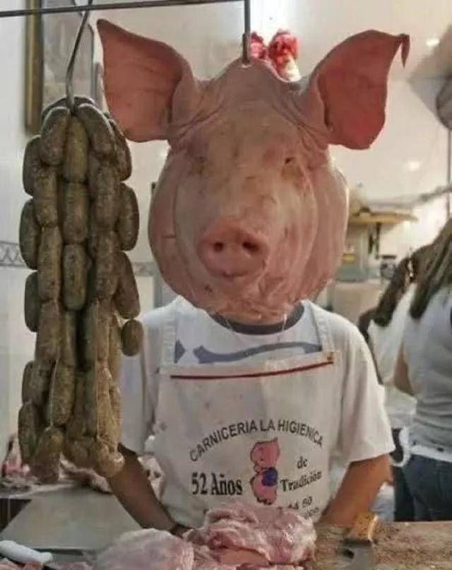 这错位错得有点搞笑啊!