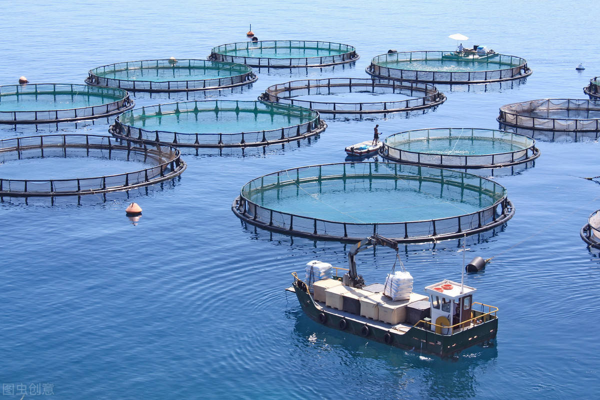 环保对水产养殖有什么影响养鱼前景如何值得一看