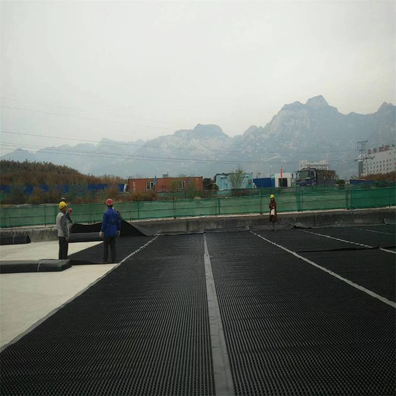 生产供应地下室疏水排水板 停车场2公分高 塑料流通排水板