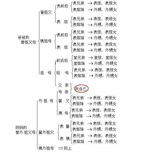 为什么姑父是父亲的父姨夫却是丈夫的夫姨父和姨夫是不同的