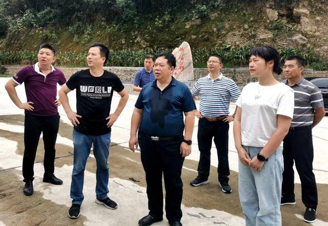 市,县统战部领导到坪上镇指导"同心美丽乡村"建设